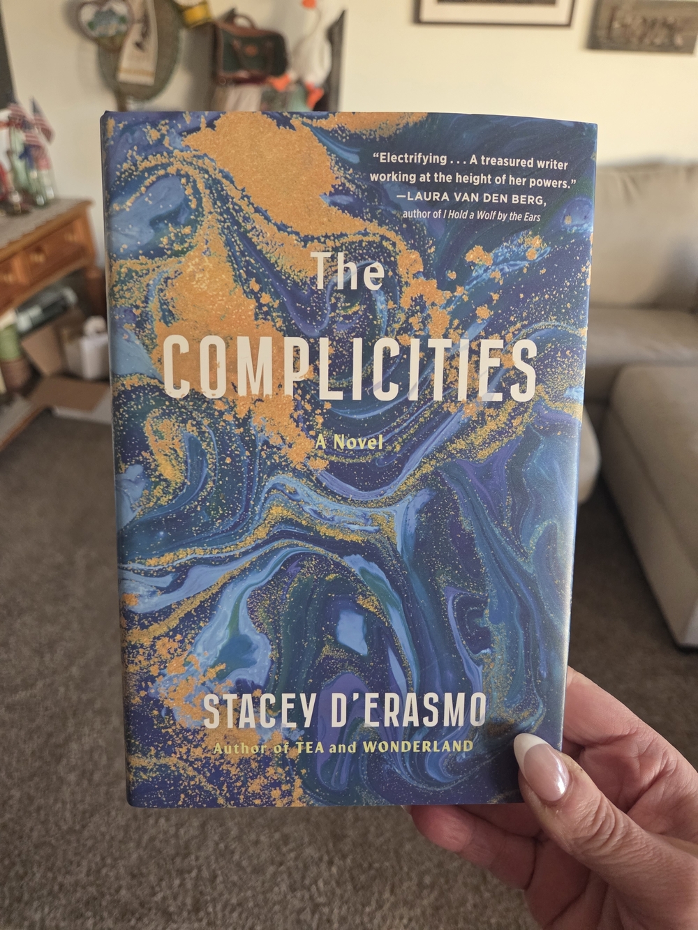 The Complicities by Stacey D'Erasmo - A Novel